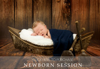 Newborn Session